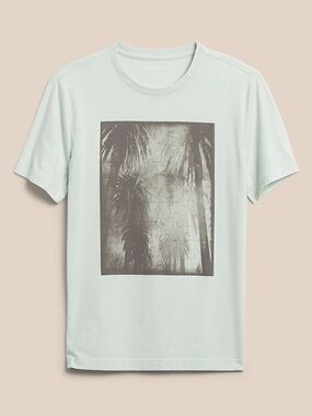 Banana Republic Sage Green Graphic Crewneck T-Shirt